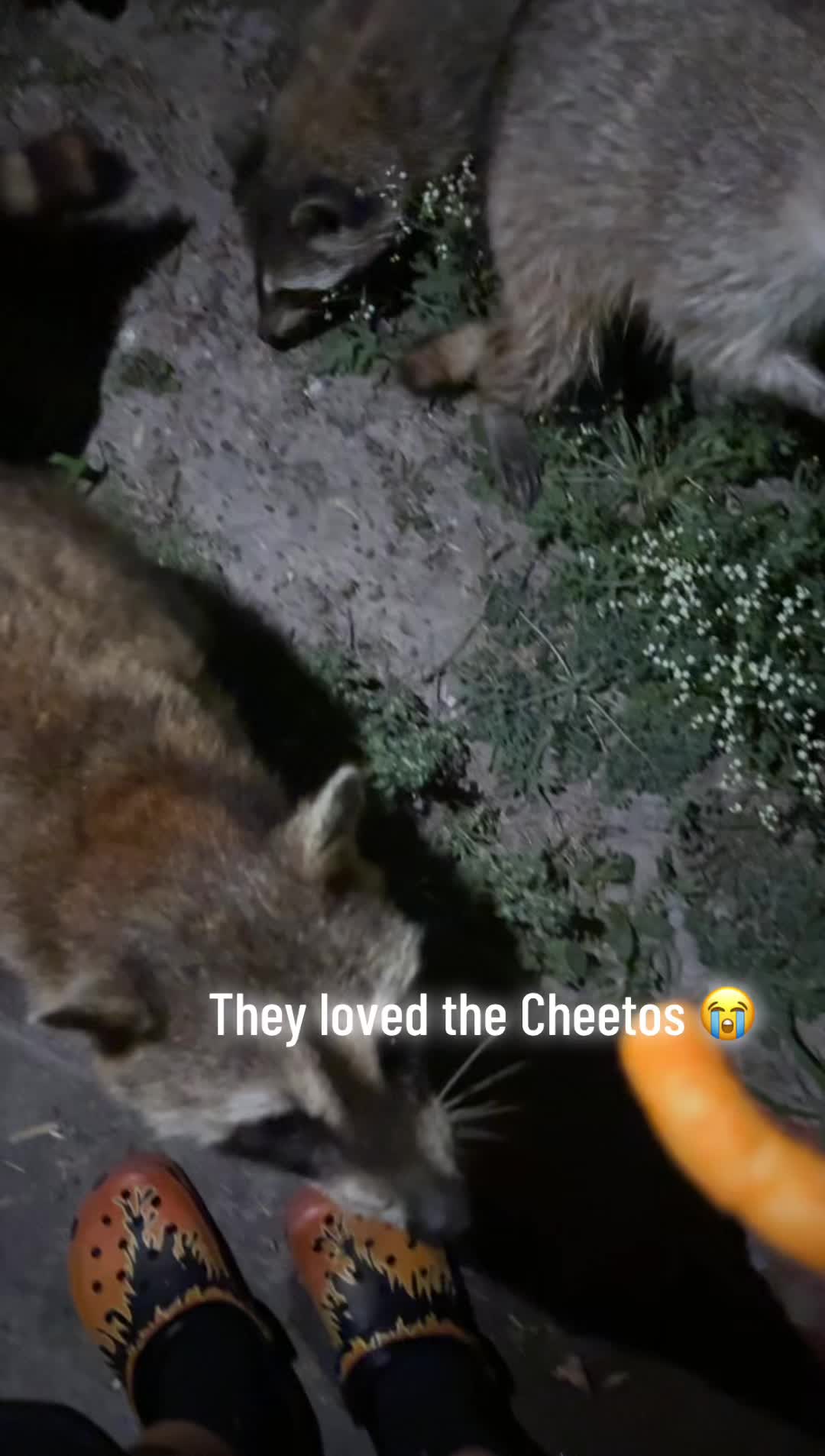 @CeeBreezzyy