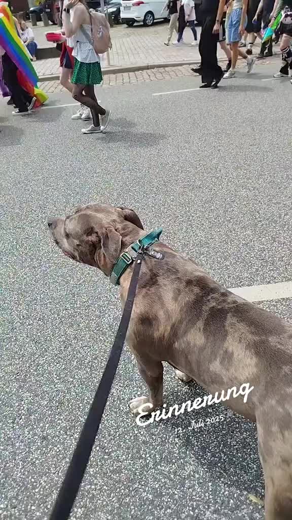 @Bullys_of_Asgard