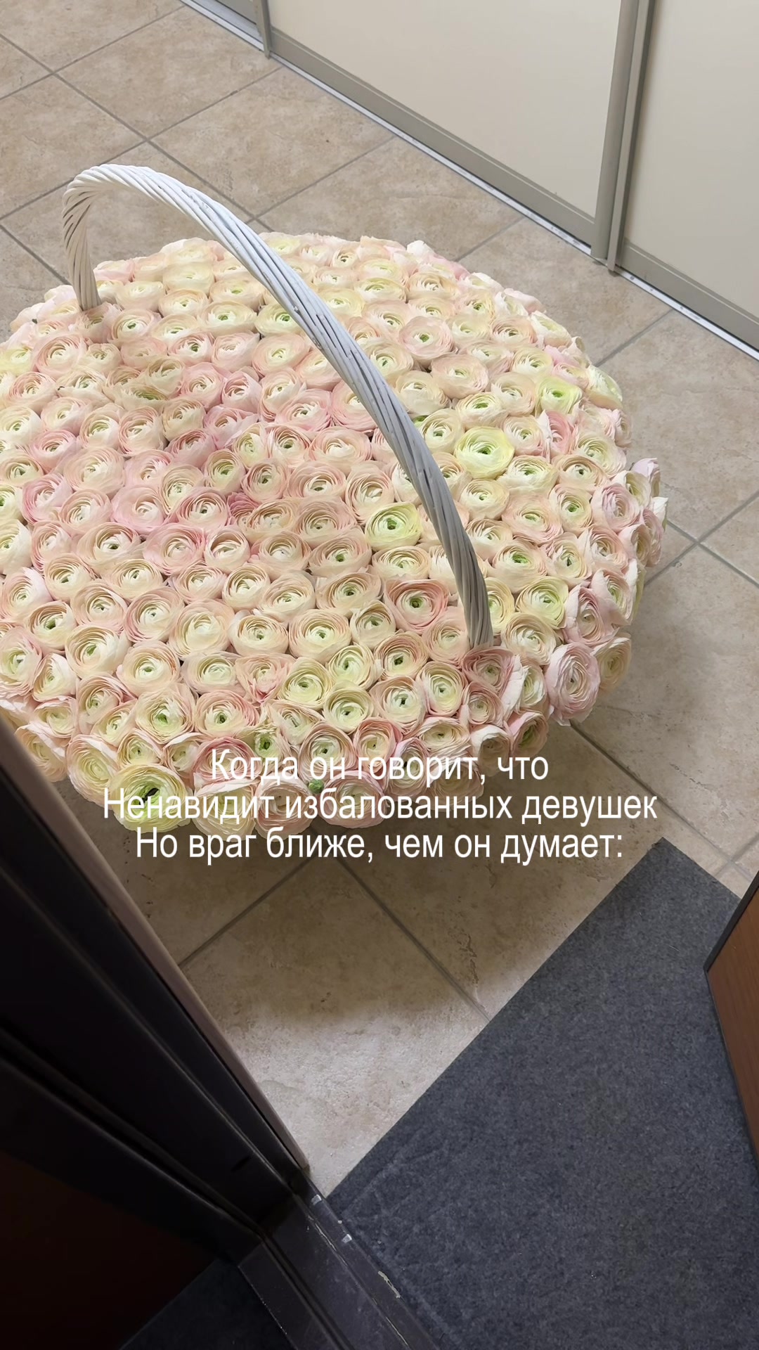 @Eva