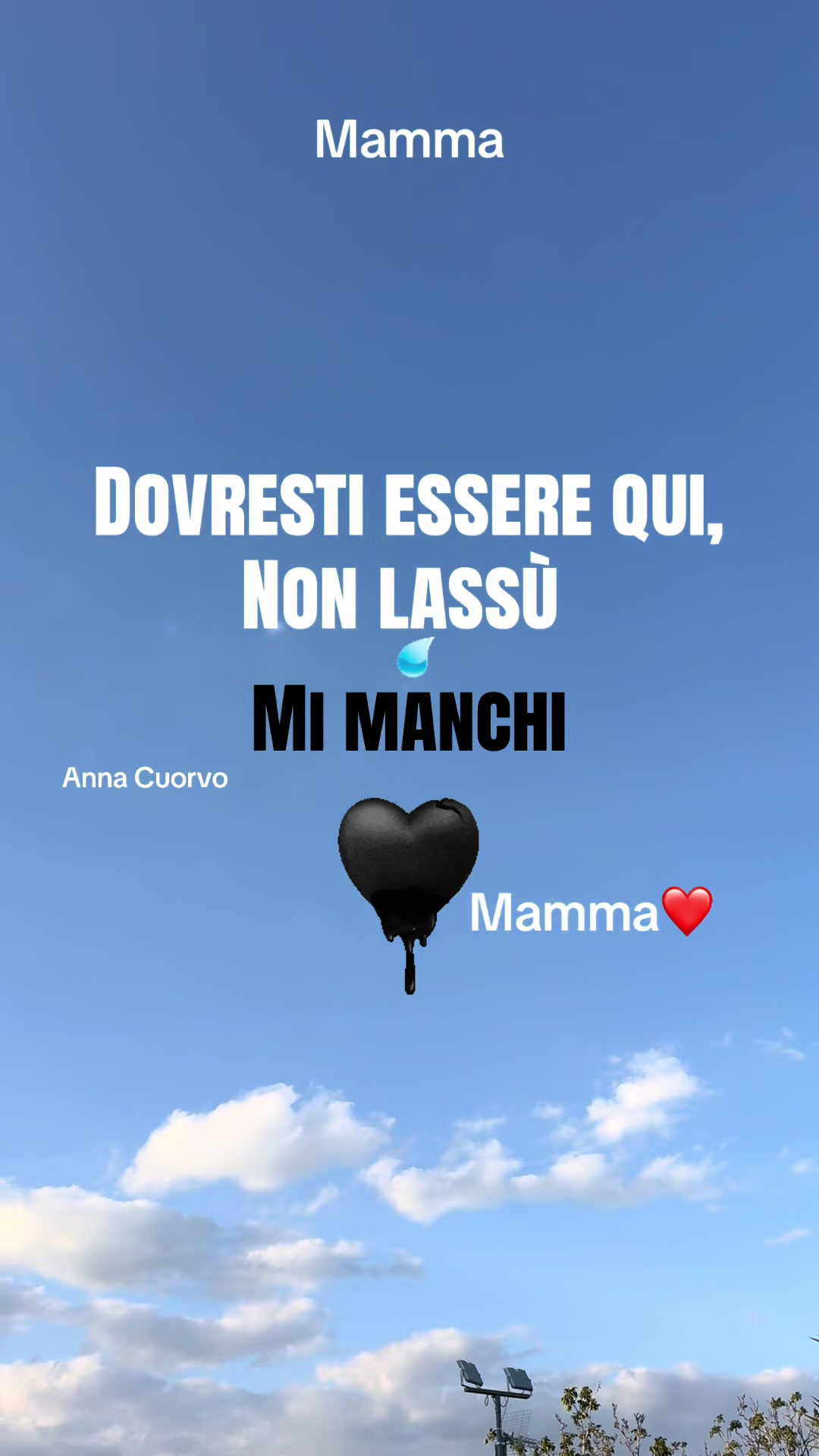 @annacuorvo877