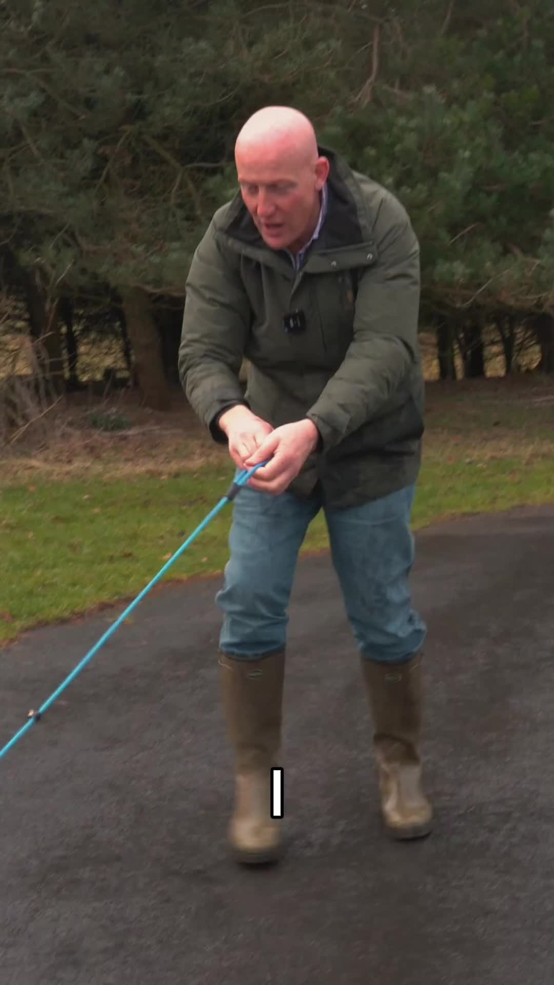@Mordor Gundogs
