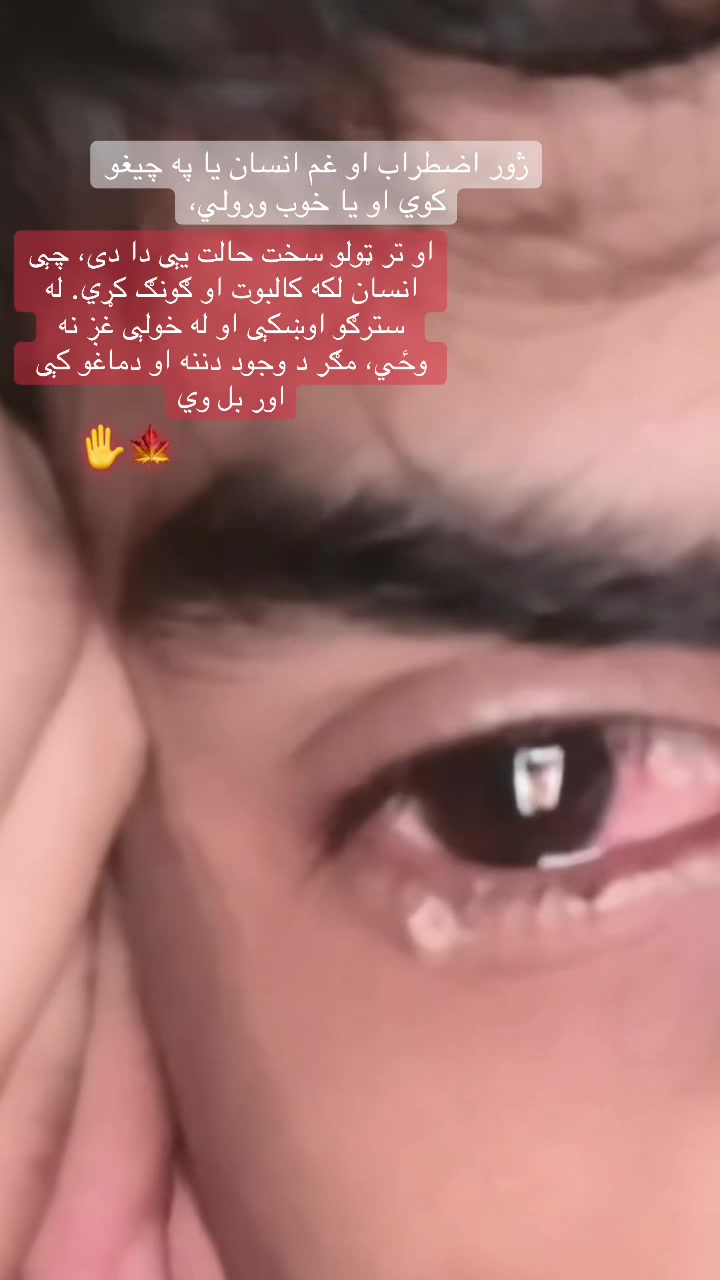 @* 🎭 Y𝓐𝓩☬꧂