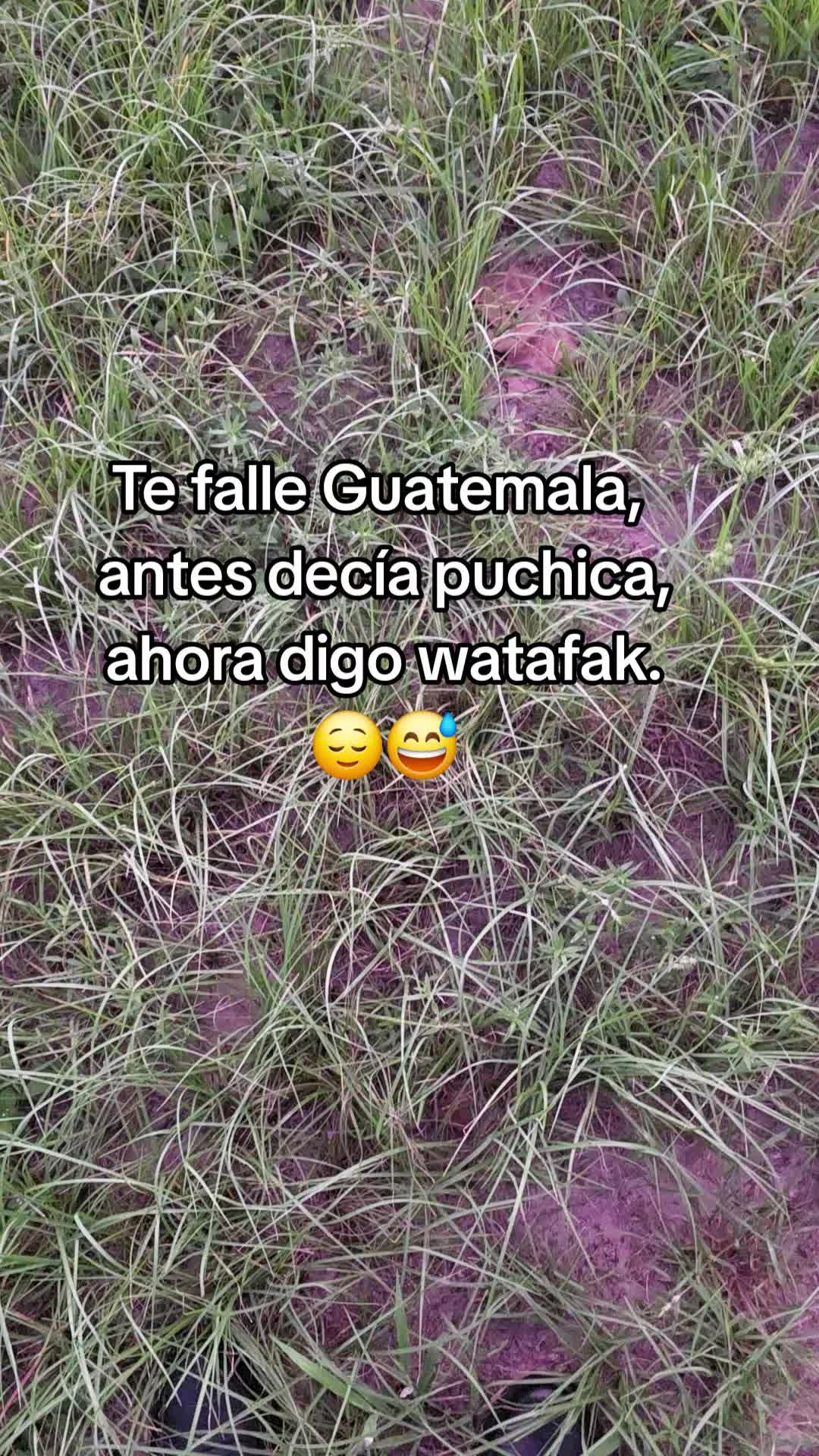 @Juan Abraham