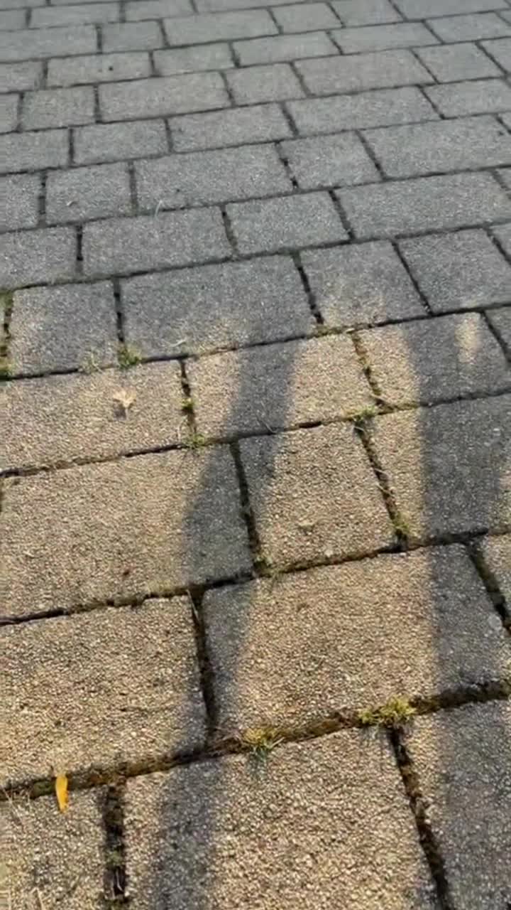 @pyro_partyy🧨