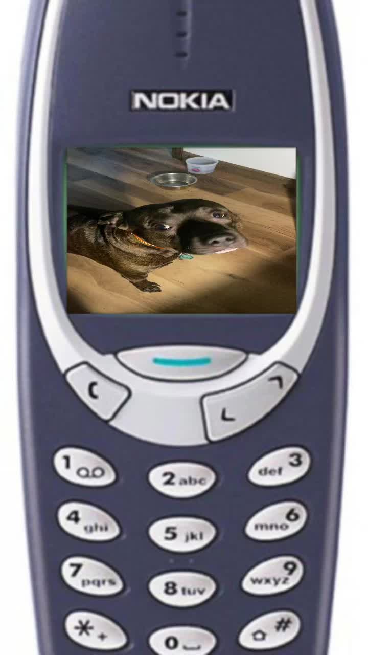 @gamerboy1233