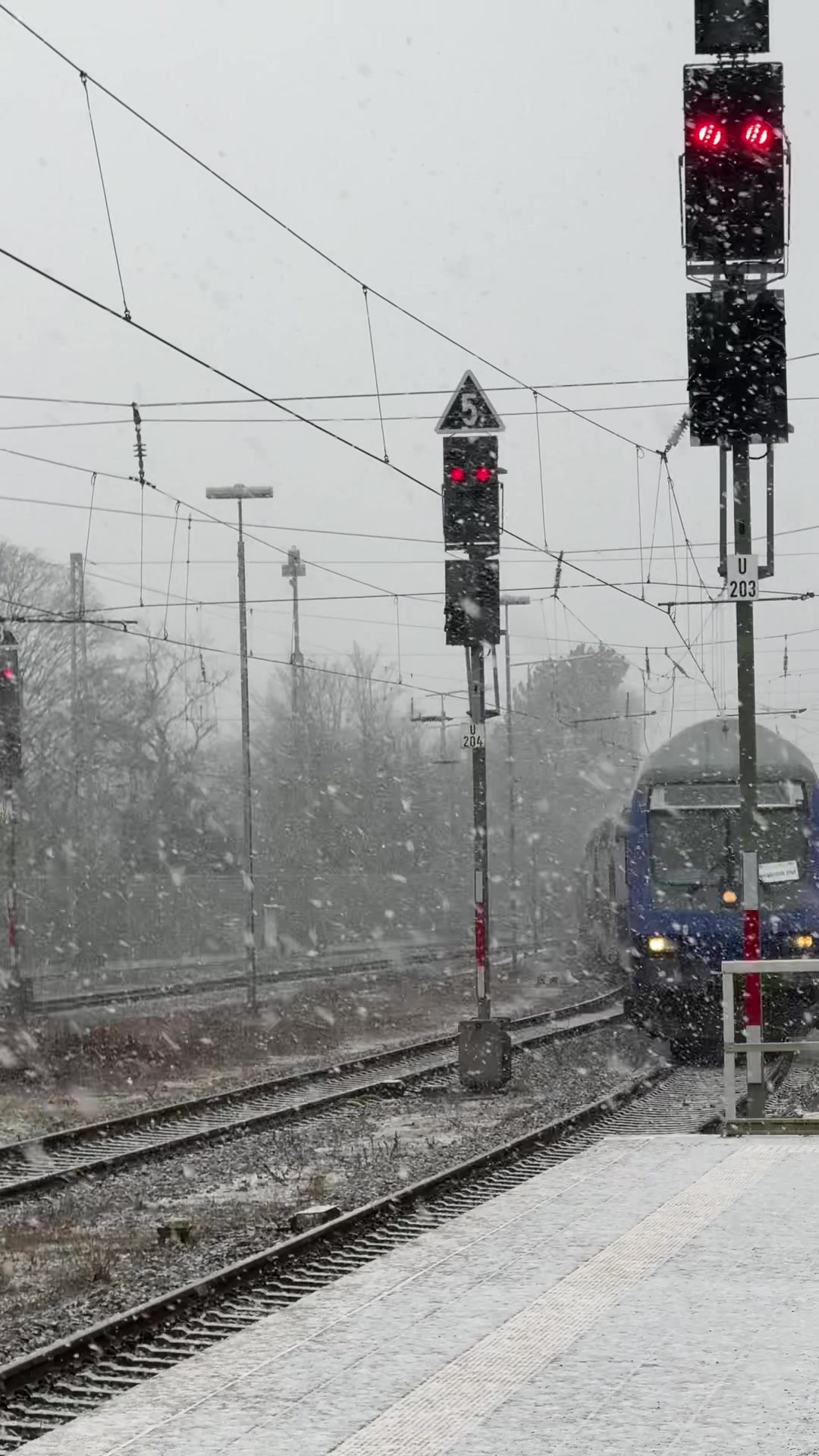 @Zugspotter 2026🚉