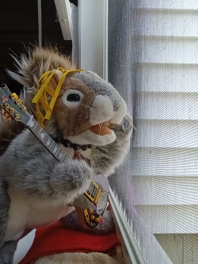 @Charles The Squirrel