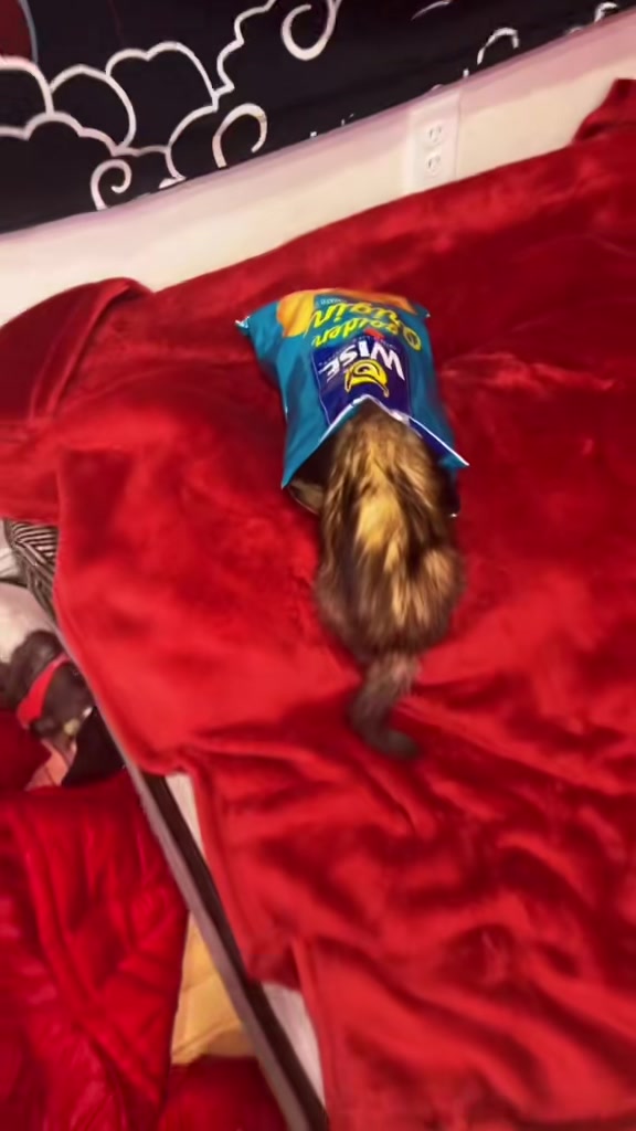 @BabyGup🐹