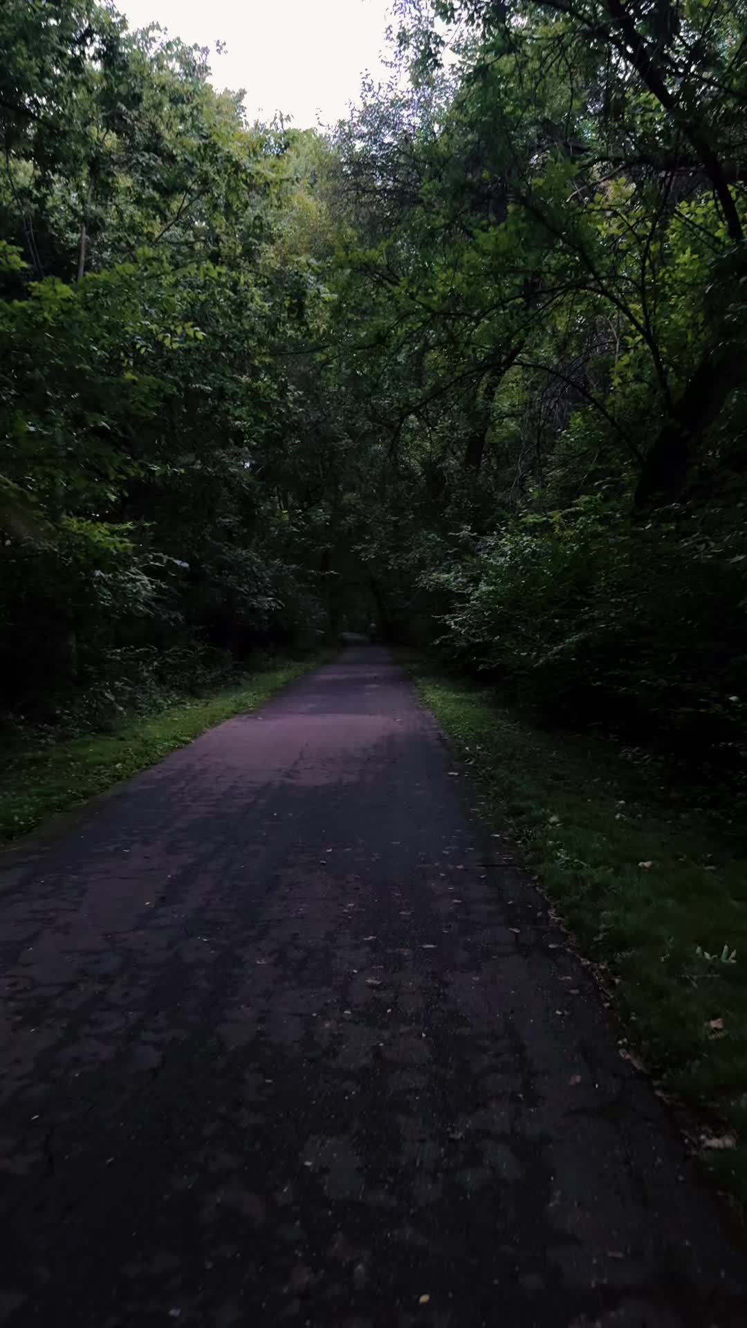 @alone4life444