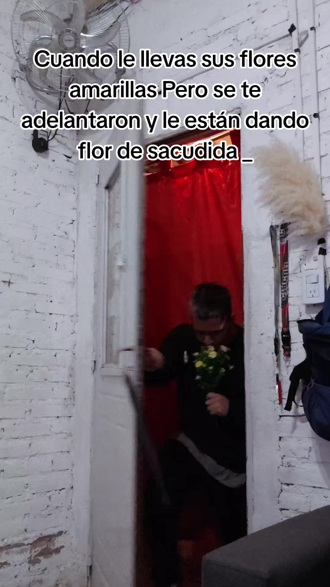 @D@niloHdm