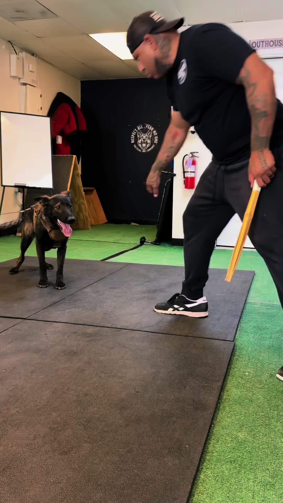 @Tactical K9s Dog Training