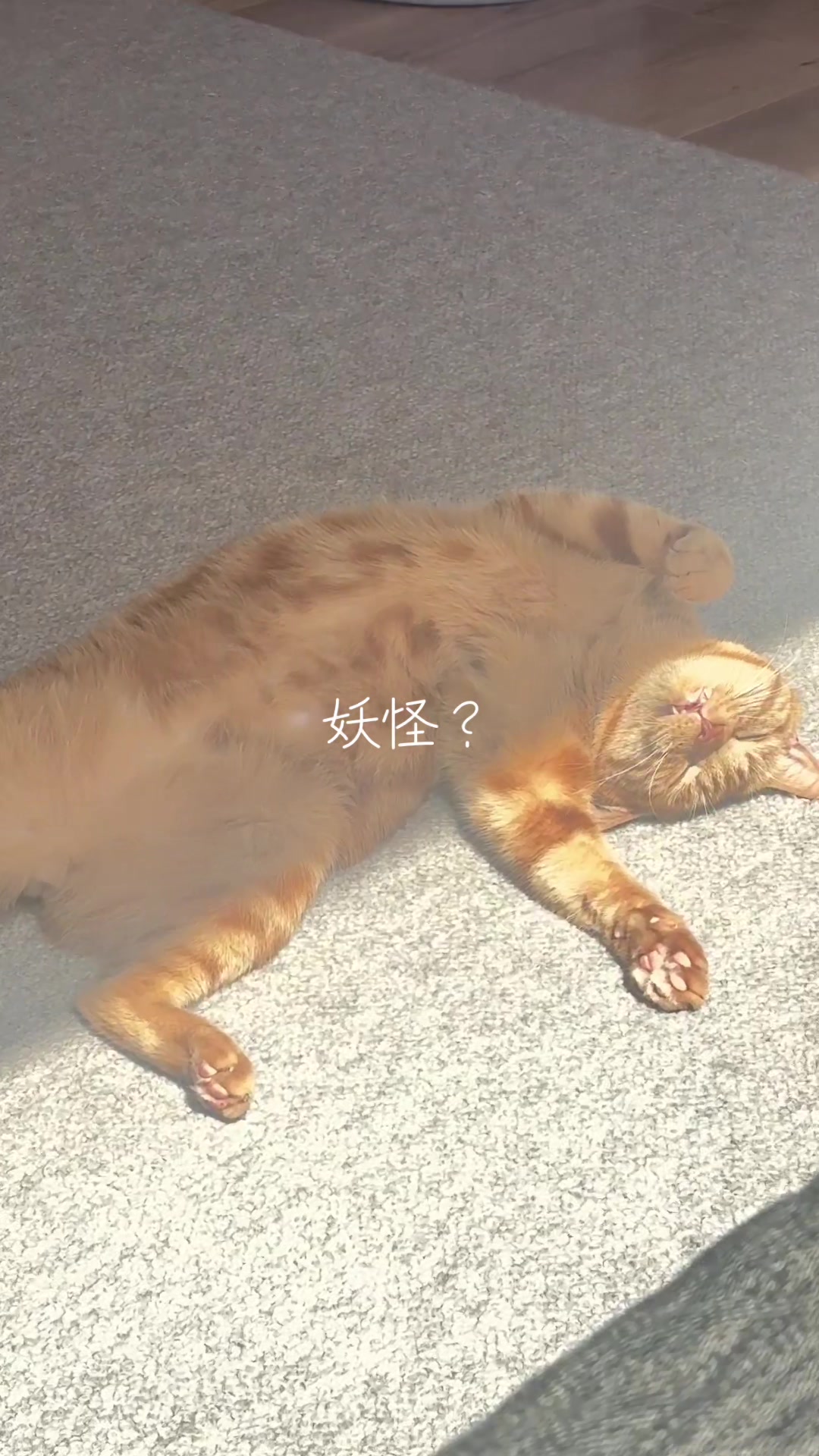 @さまむ〜