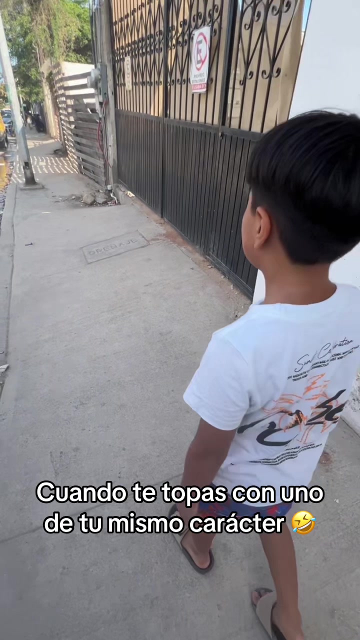 @virlan37