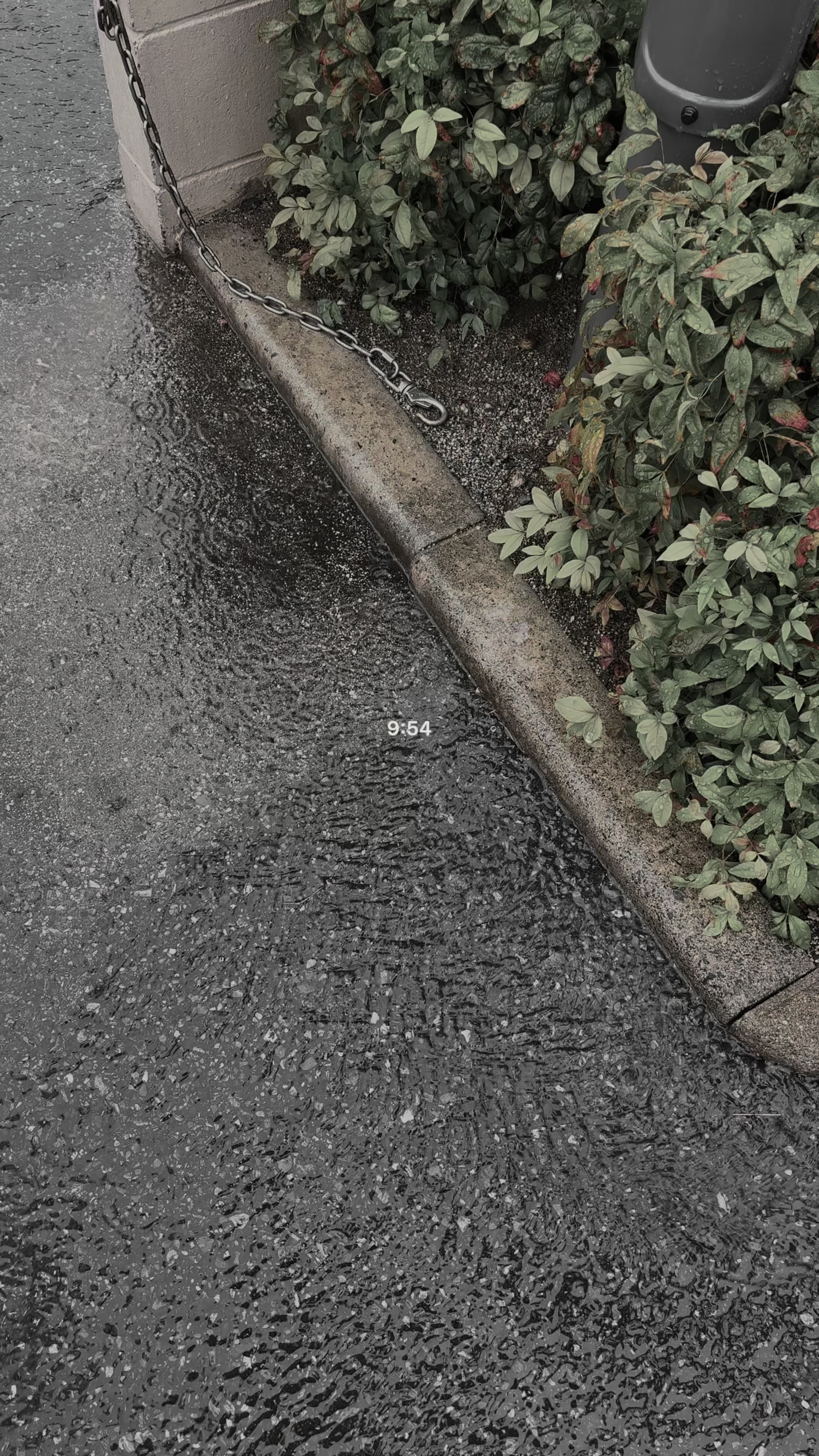 @ソ ル