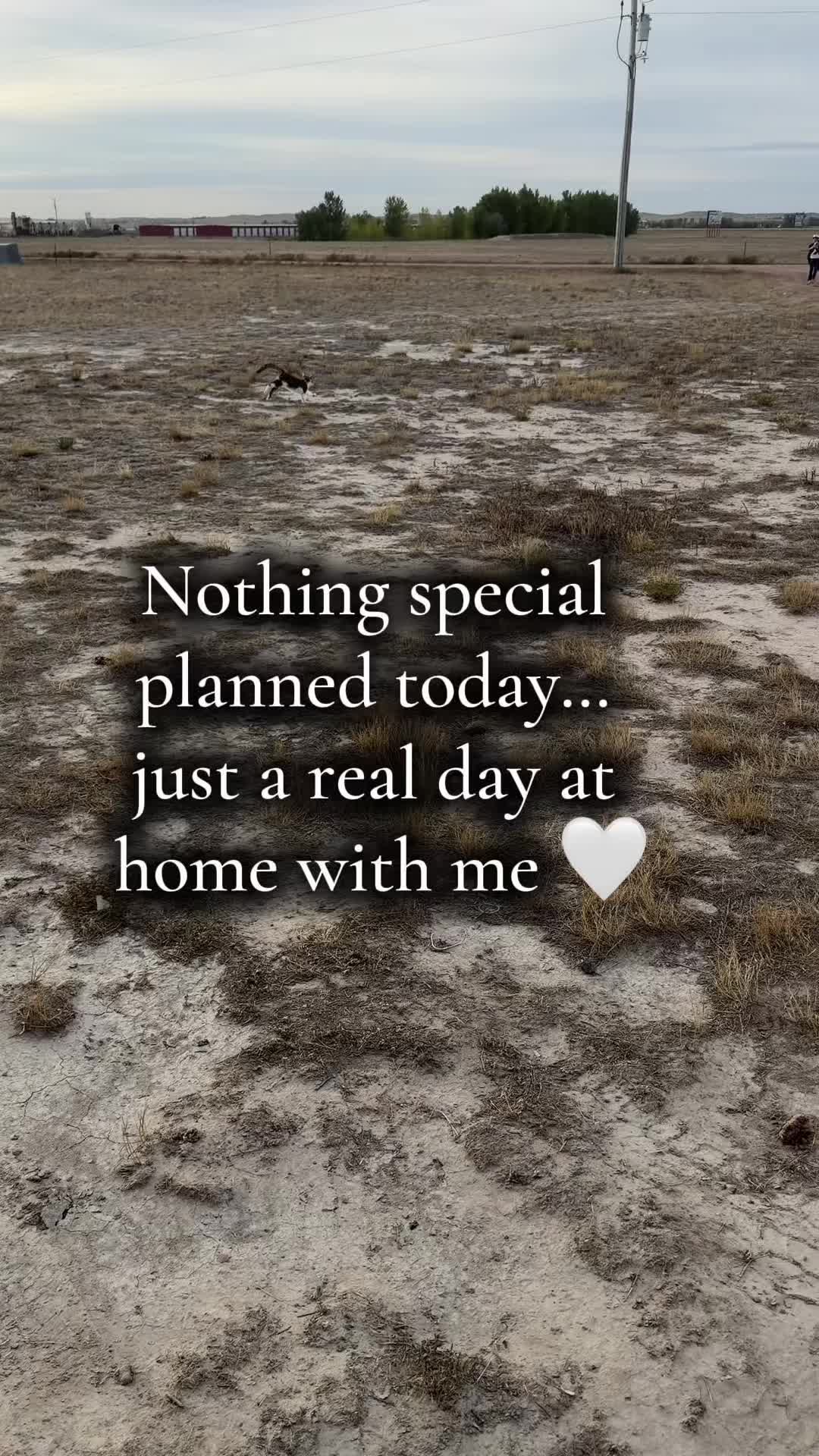 @🌻&dagger;HealthyHearted𝓂♡𝓂𝓂𝒶&dagger;🌻