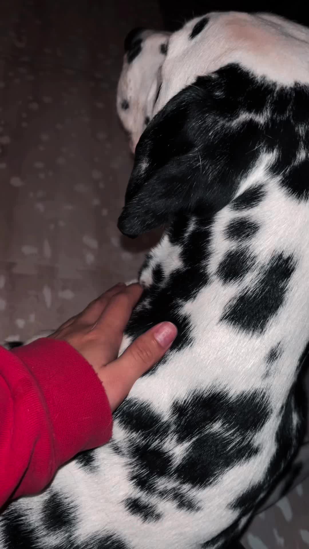 @julia._.1150