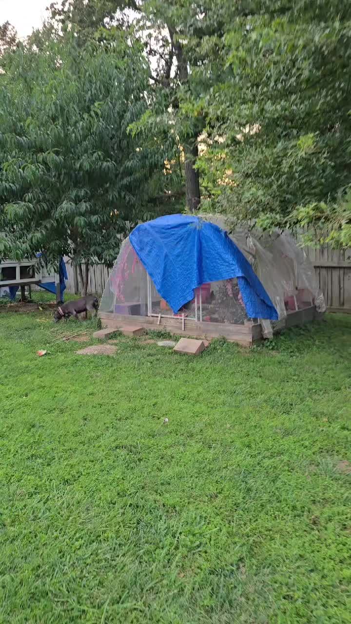 @ActiveMommy