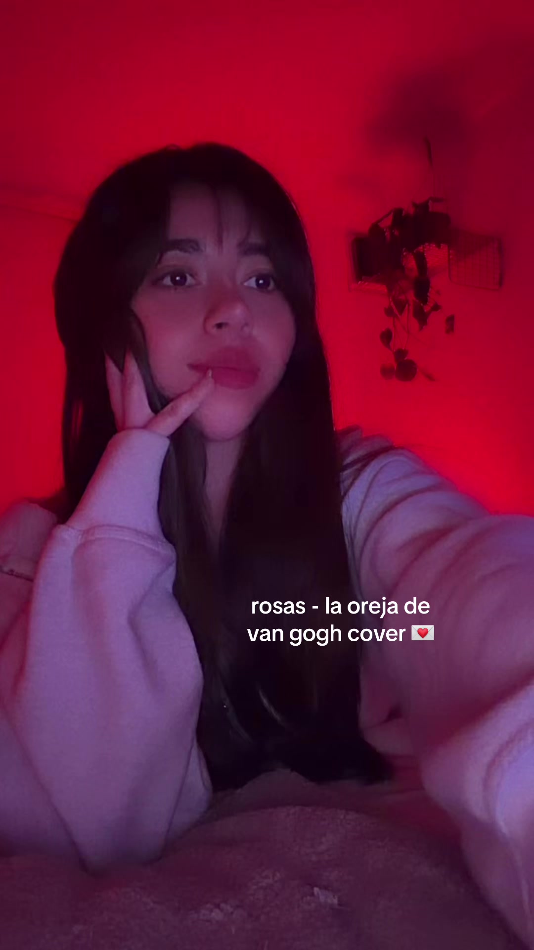 @Tbeici