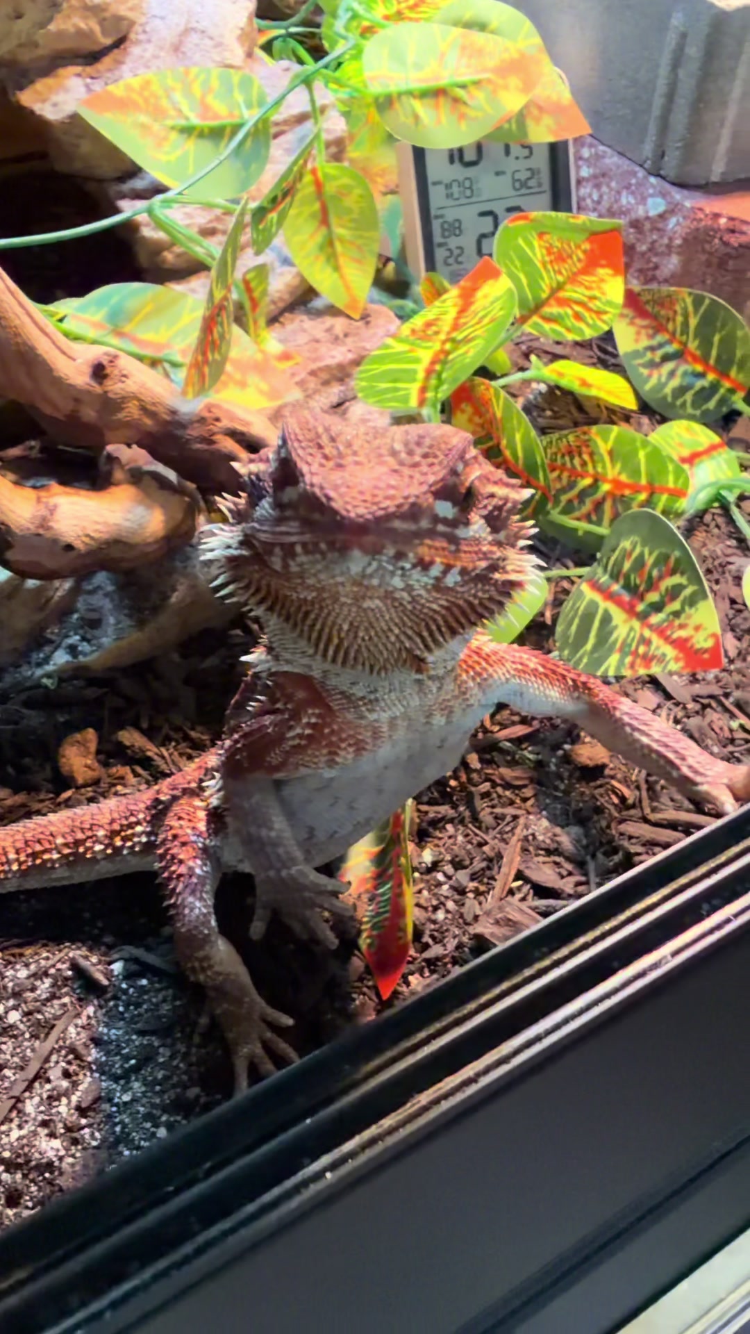 @AMHWildCreations