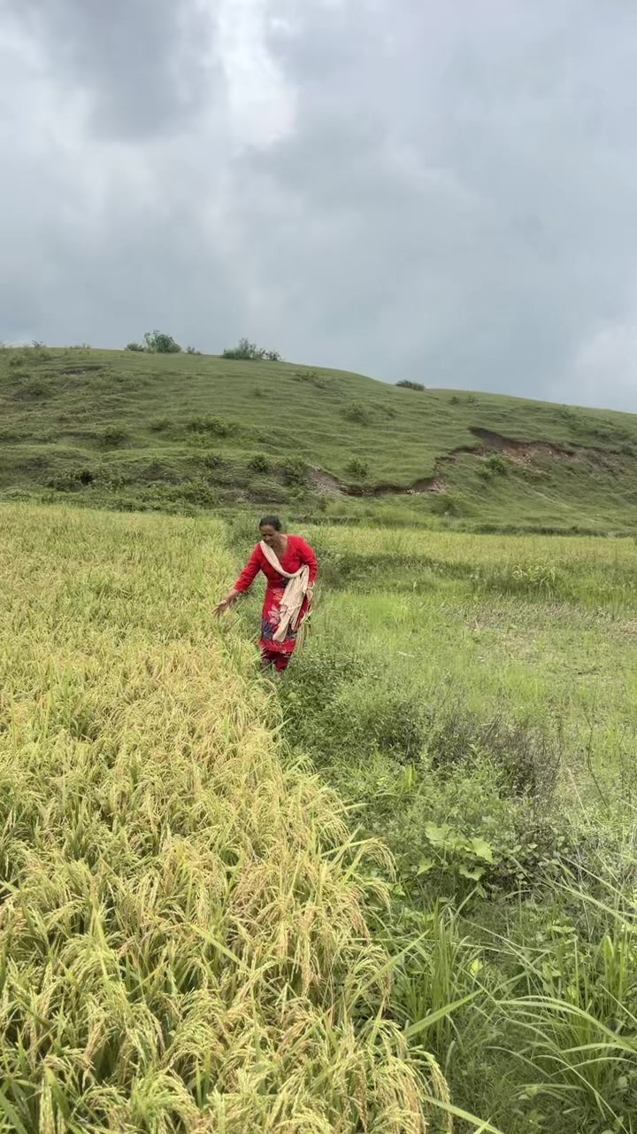 @Sima Mahara