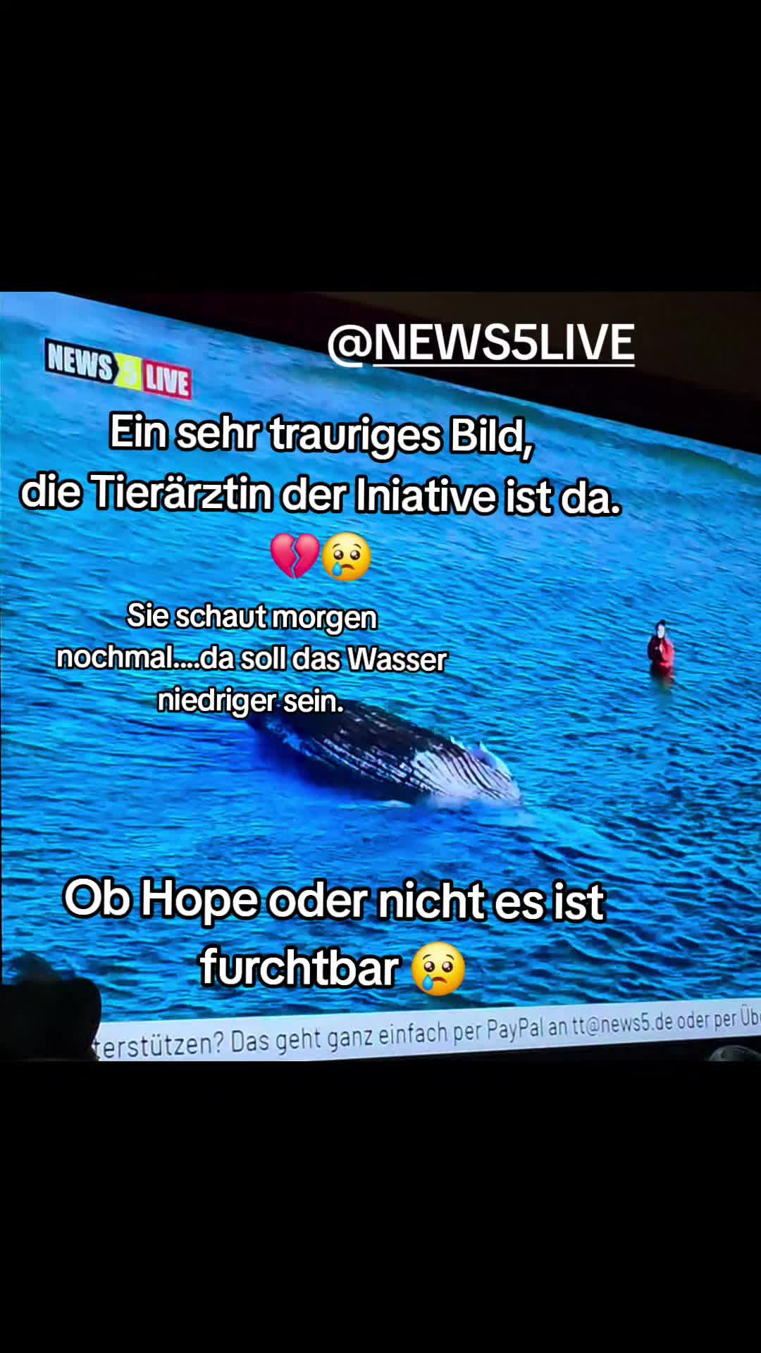 @🐳📚❤️DreamySusu❤️📚🐳