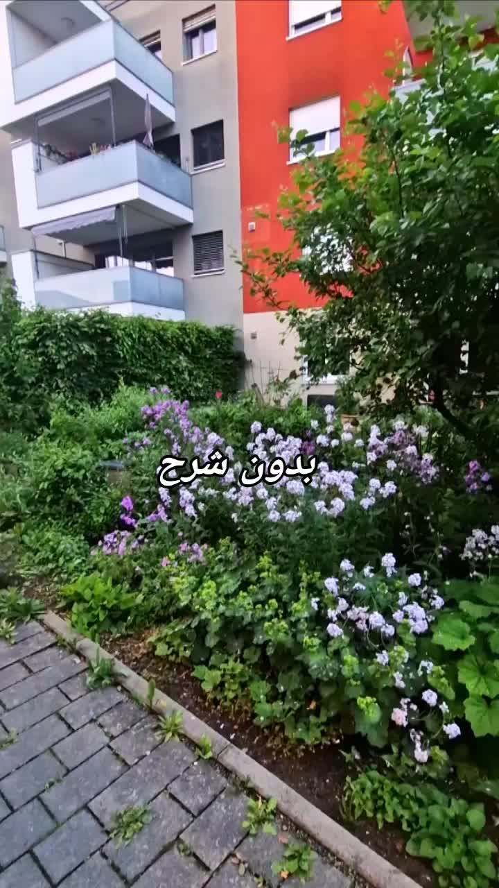 @به امید خدا