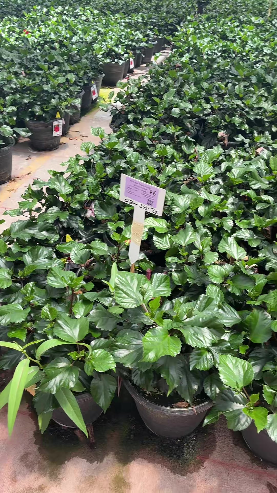 @Detalles.López .🙌🍀🥰🙏