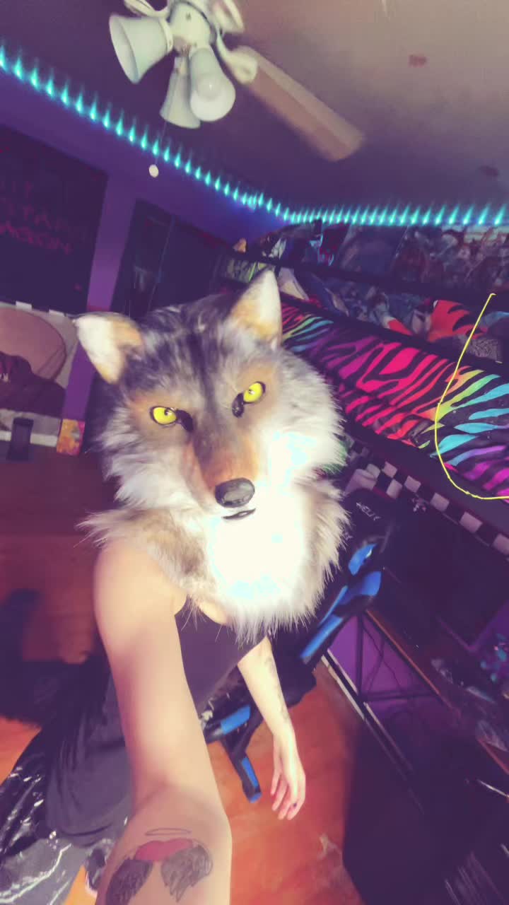 @Puppy<3🔜FD