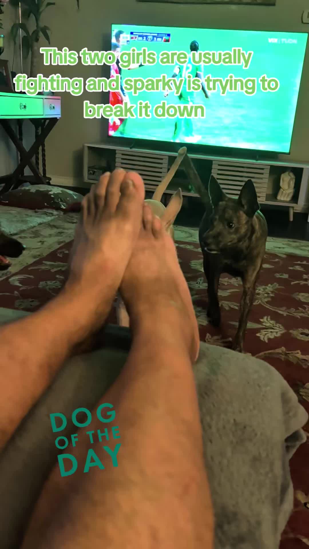 @Jplay