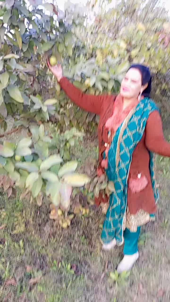 @Nishaba Rajpoot