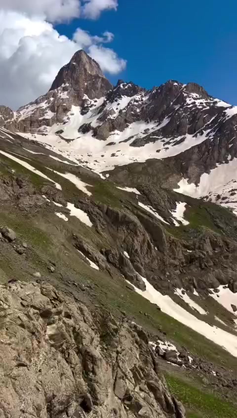 @devran🕊️
