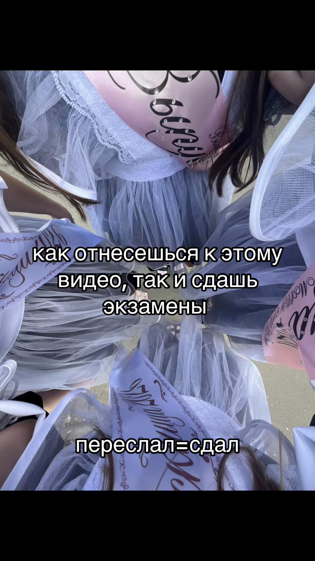 @ривка🐾
