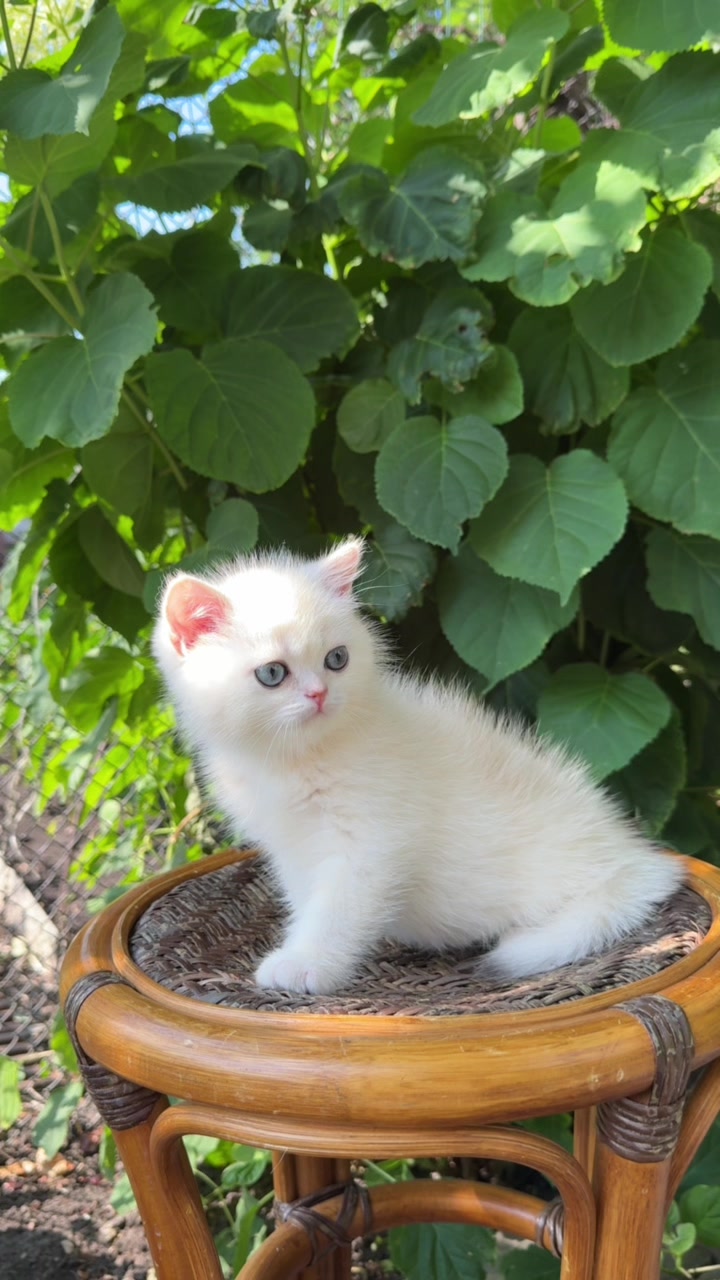 @Анастасия