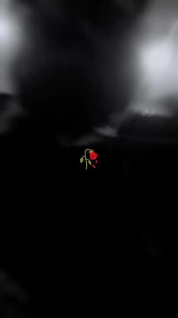 @فروا بلال 💖🌸