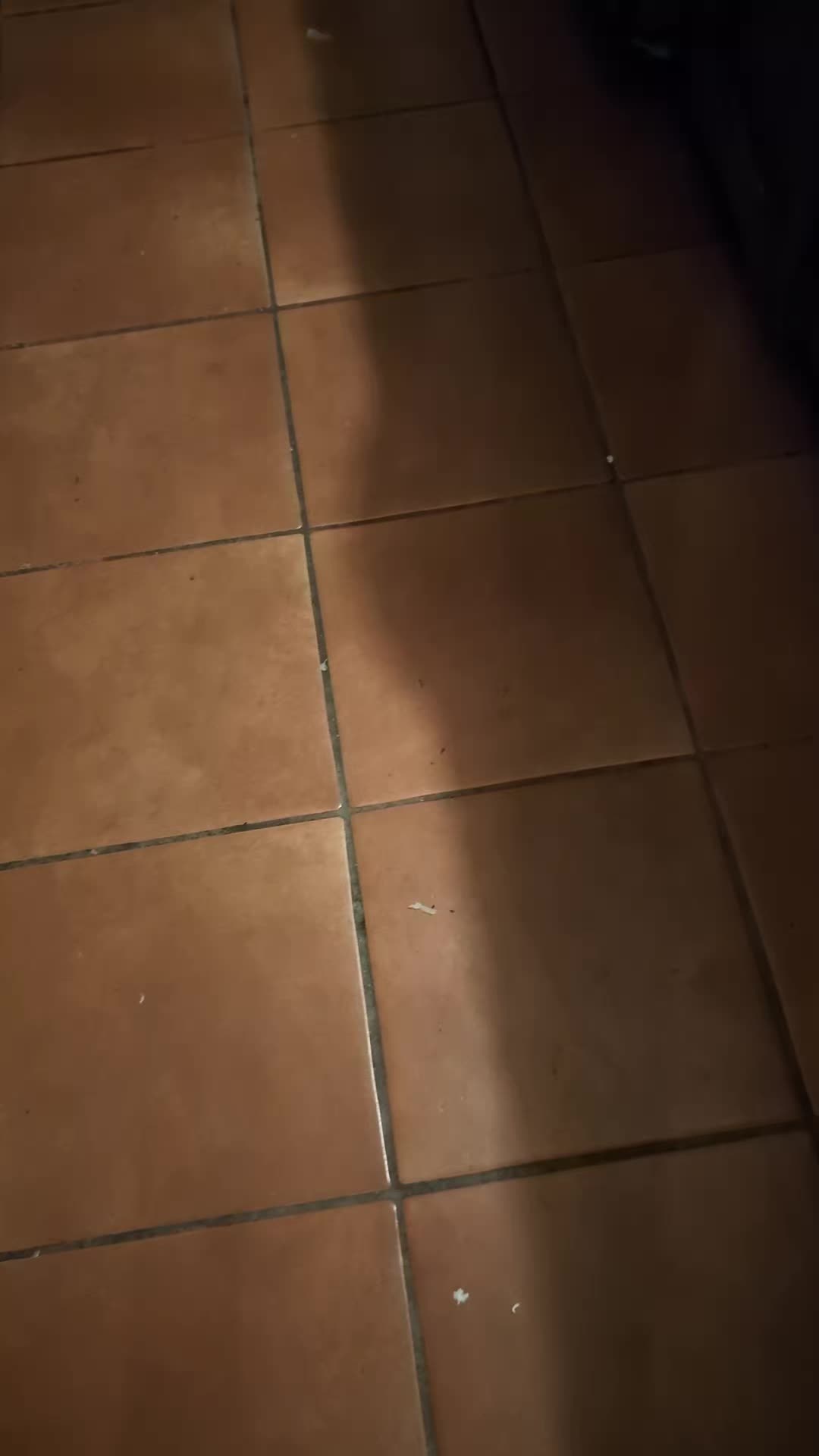 @lahissyfit687