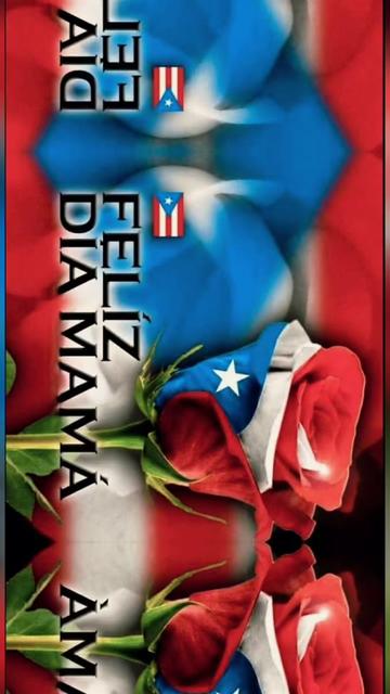 @Wilnelia Rosario