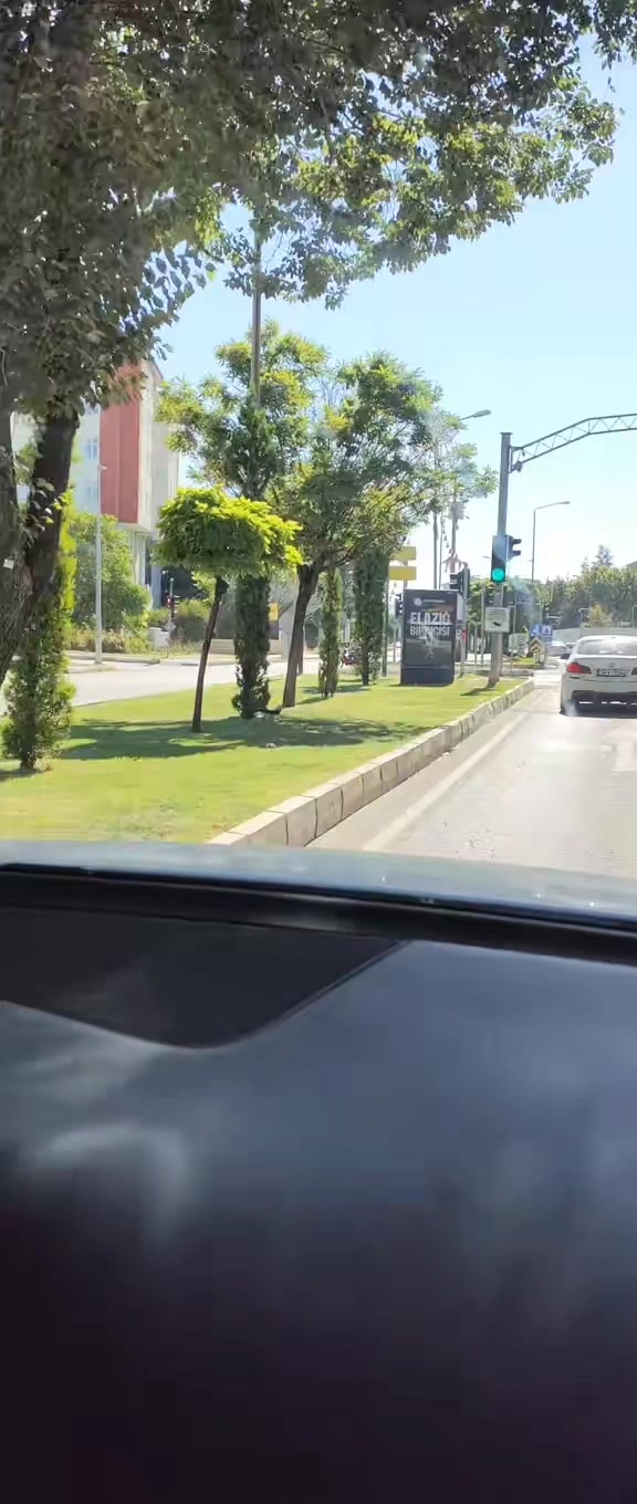 @Fahriye Güel