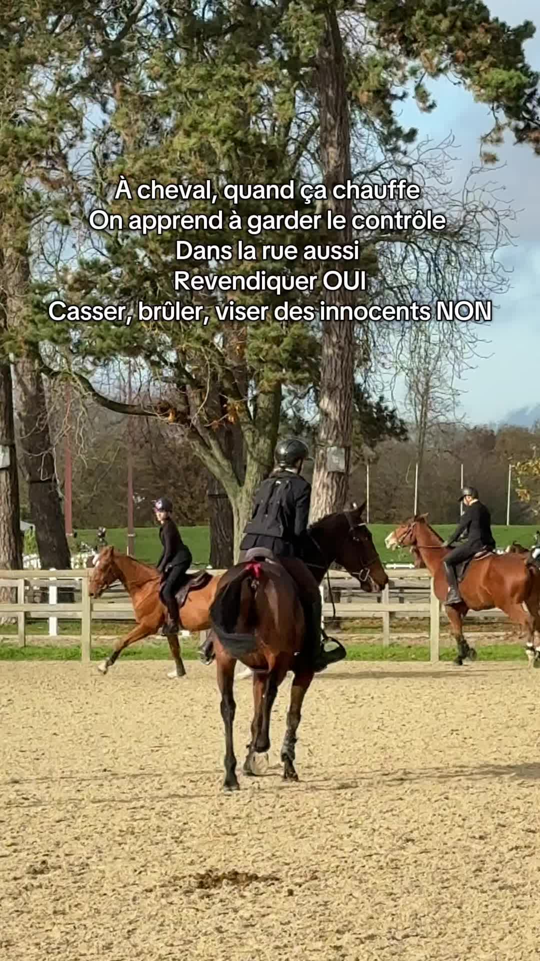 @⚜️les8sabotsdejade⚜️