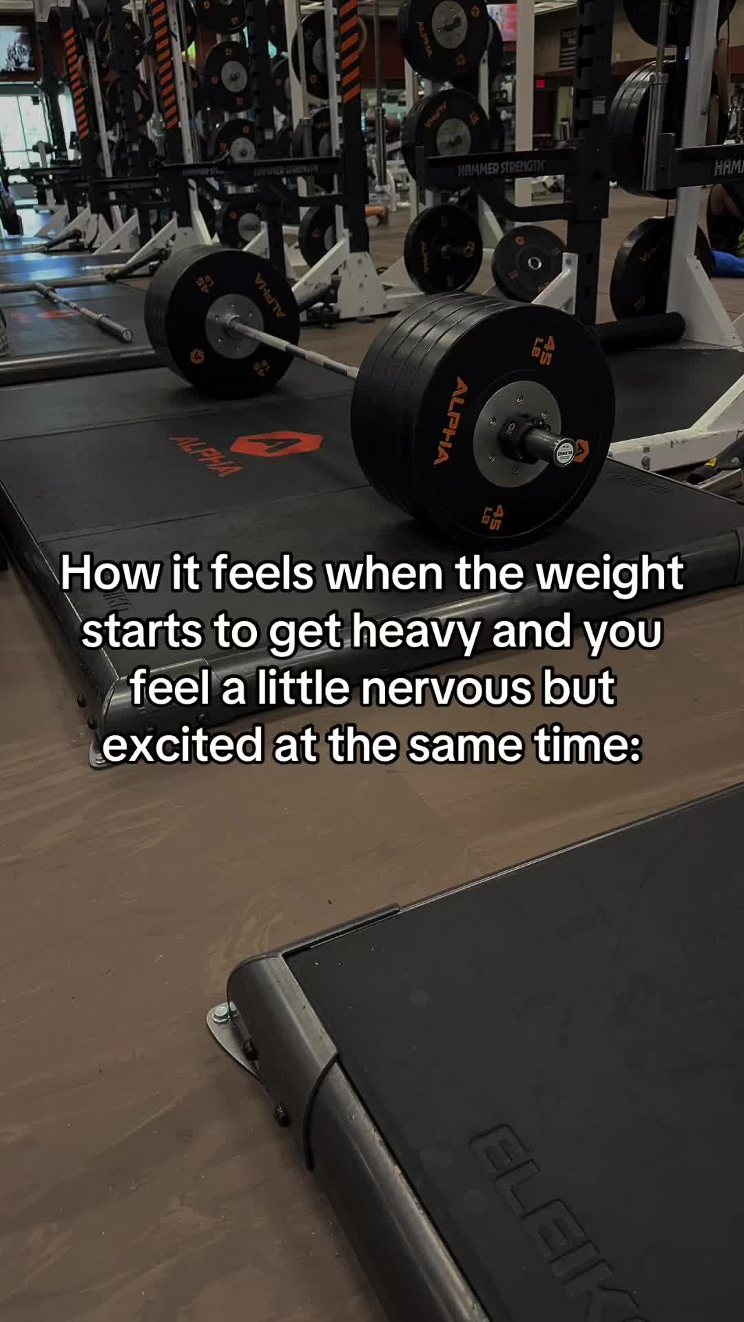 @BigDomLifts