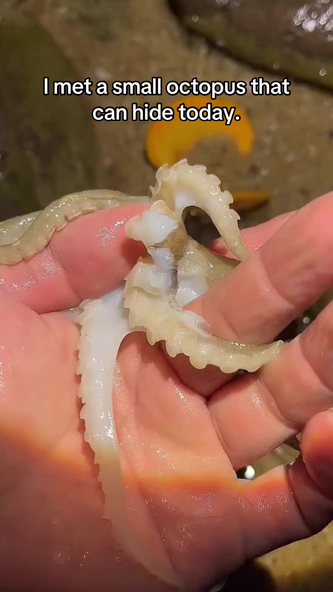 @Catch fish by hand