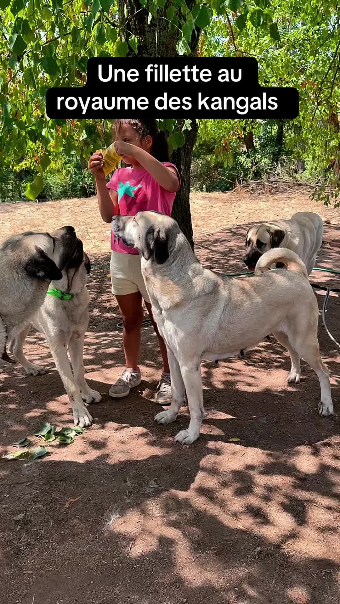 @Purekangal