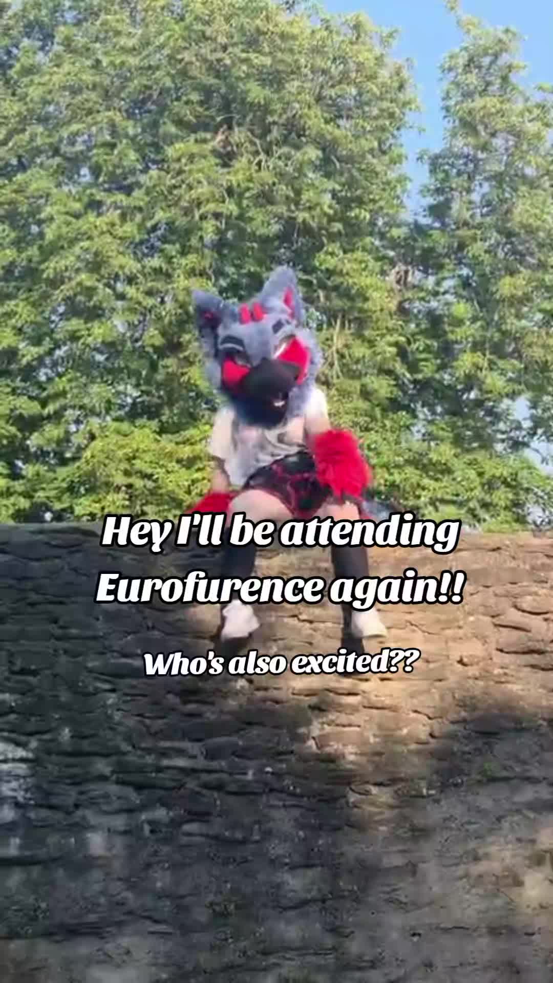 @Wolfine