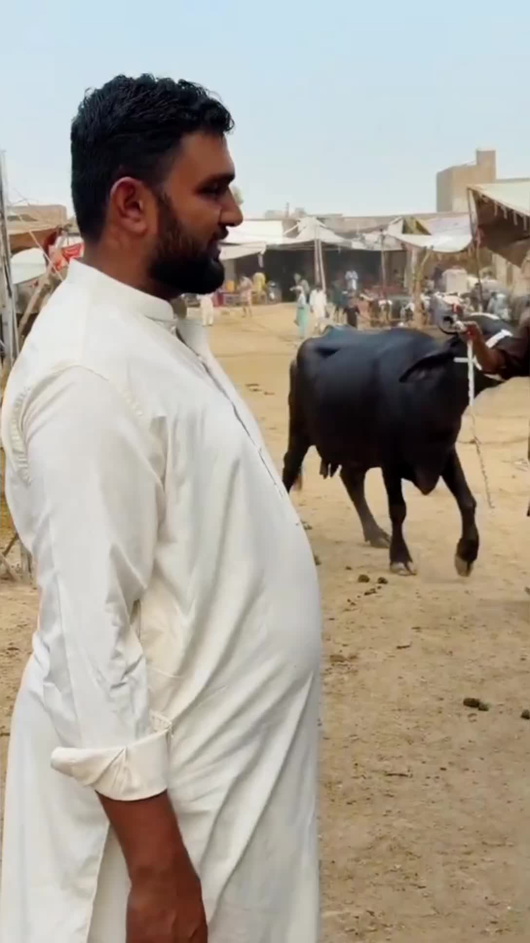 @Waqar Bhinder Dairy Farm