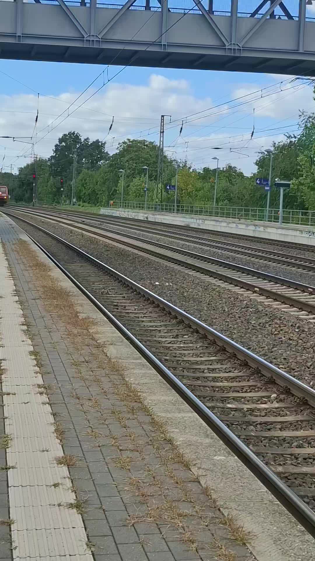 @Angeln und Z&uuml;ge 🇩🇪🚆🇩🇪🎣