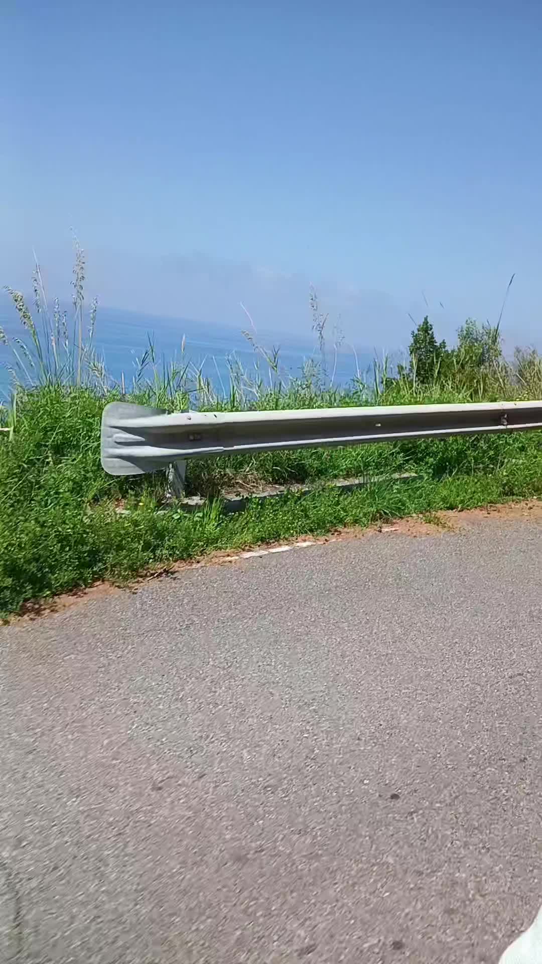 @𝘔𝘰𝘯𝘪𝘢 𝘈𝘷𝘰𝘭𝘪𝘰