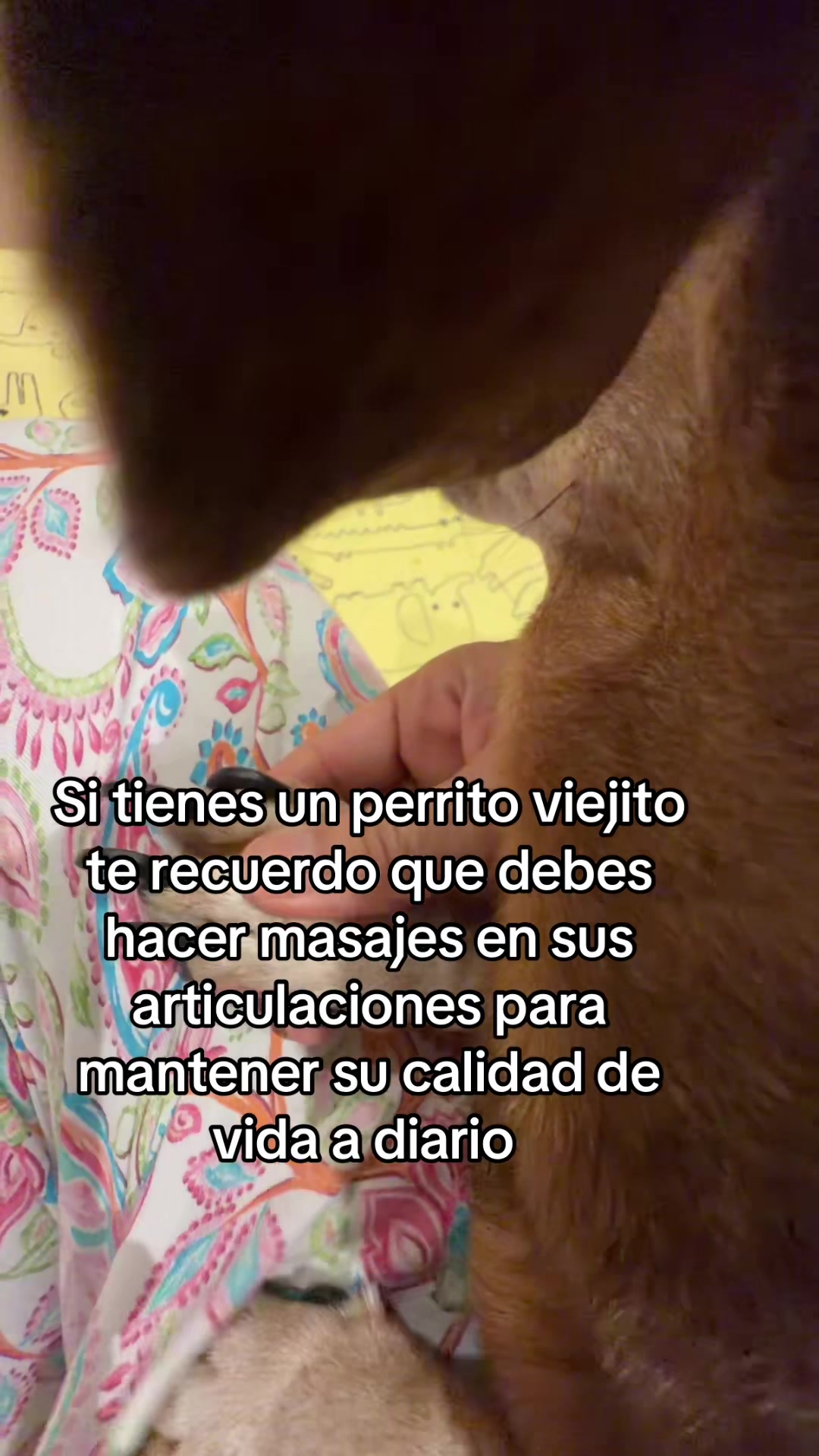 @Chilena Petite