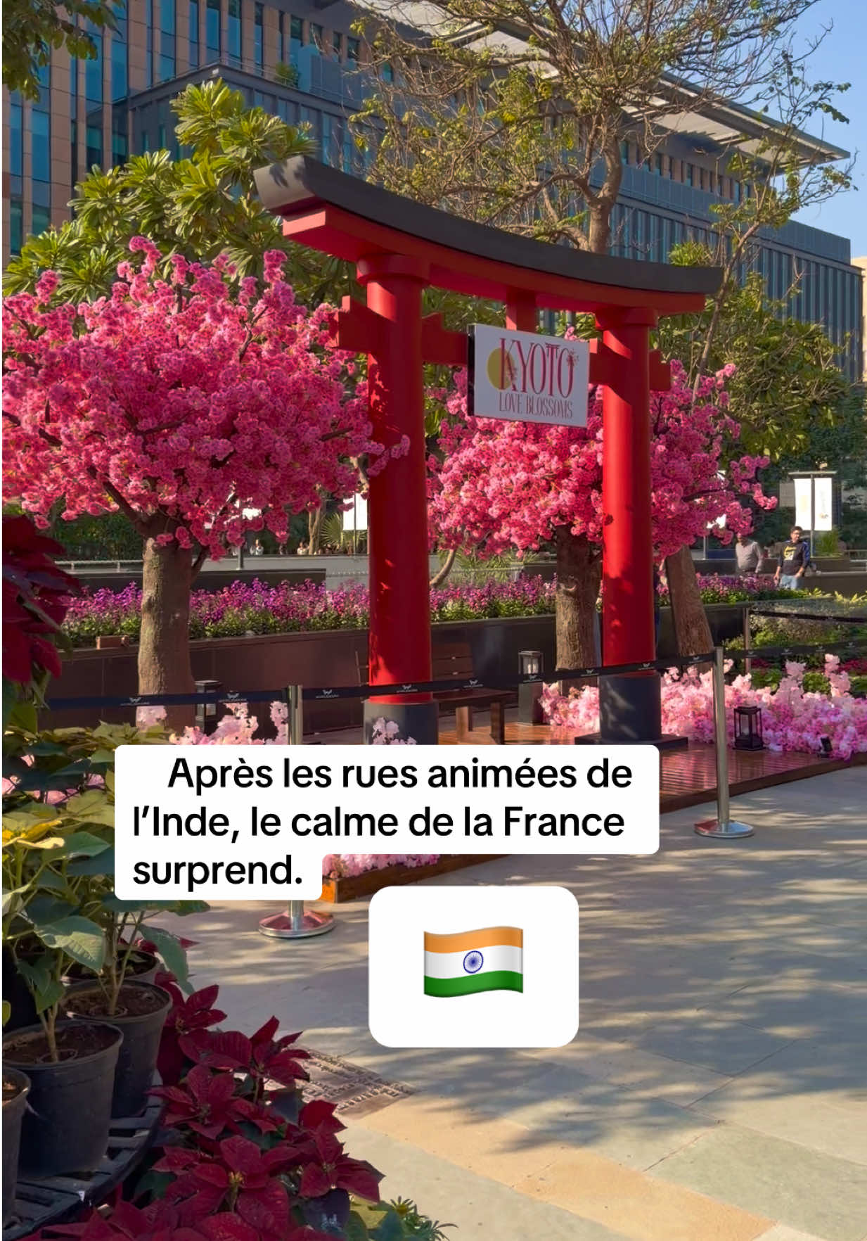 @Apprends_chwiarabe