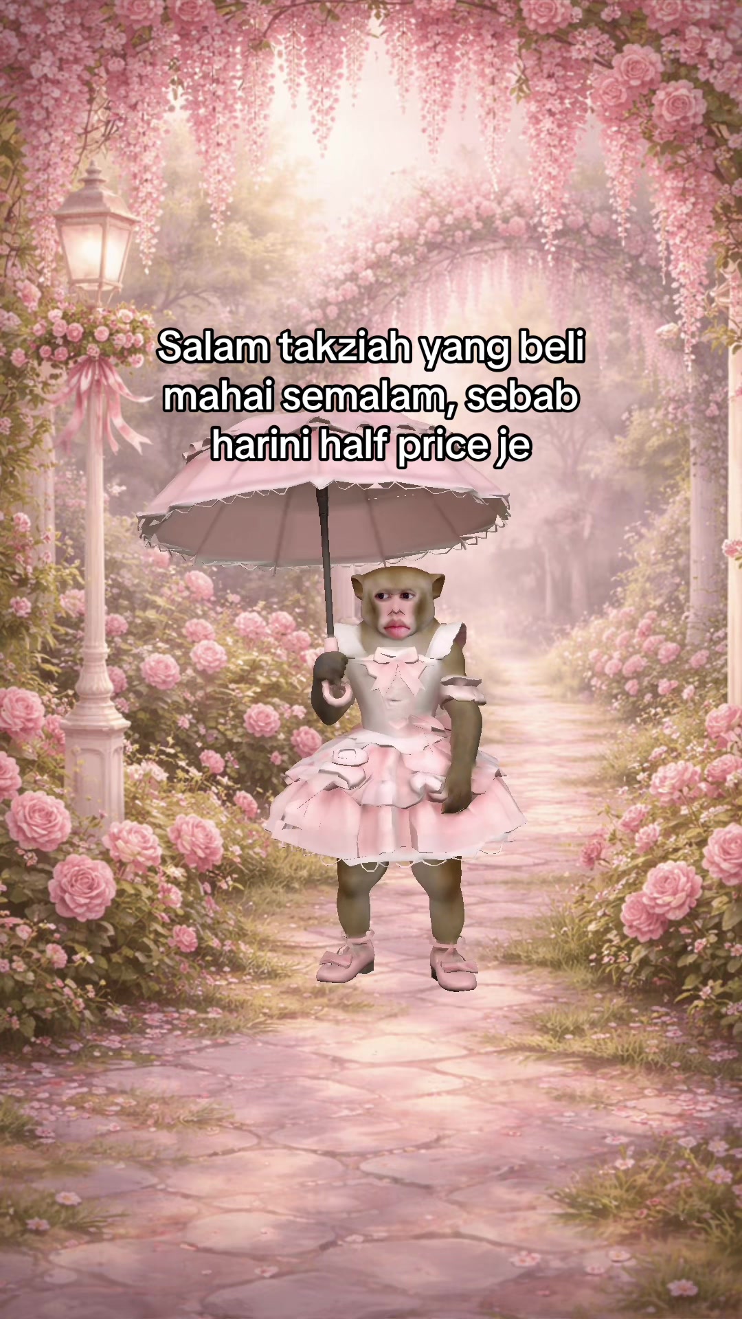 @talia ⋆˙⟡