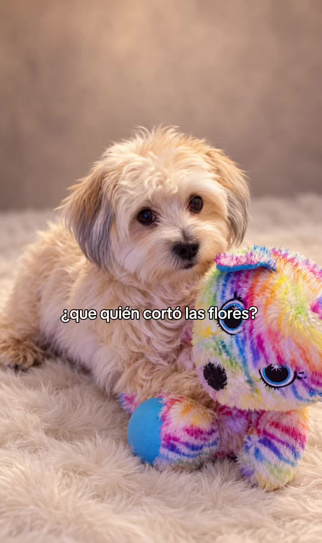 @🖤CHIQUILIN🖤