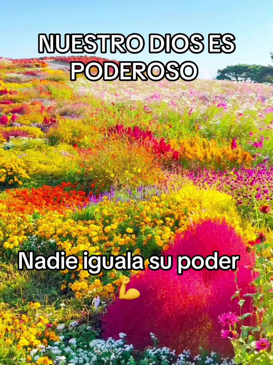 @Adelsomusicacristiana